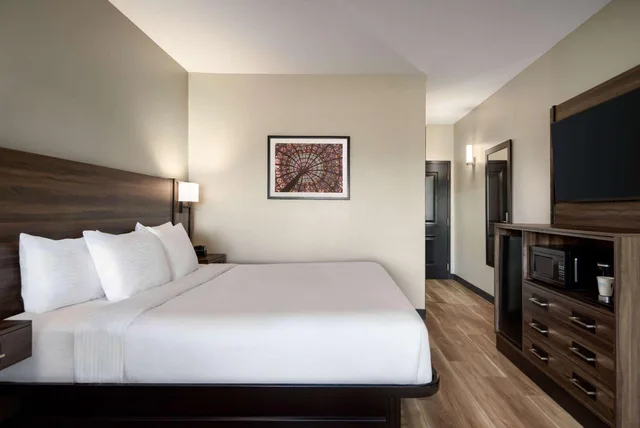غرفة بسرير كينج بحوض استحمام لذوي الإعاقة، Holiday Inn Laval Montreal 2/10