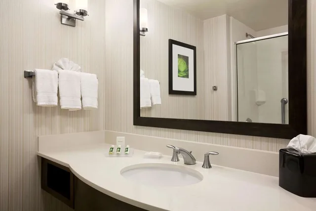 غرفة بريميوم بسرير كينج، Hilton Garden Inn Rochester Pittsford 2/2