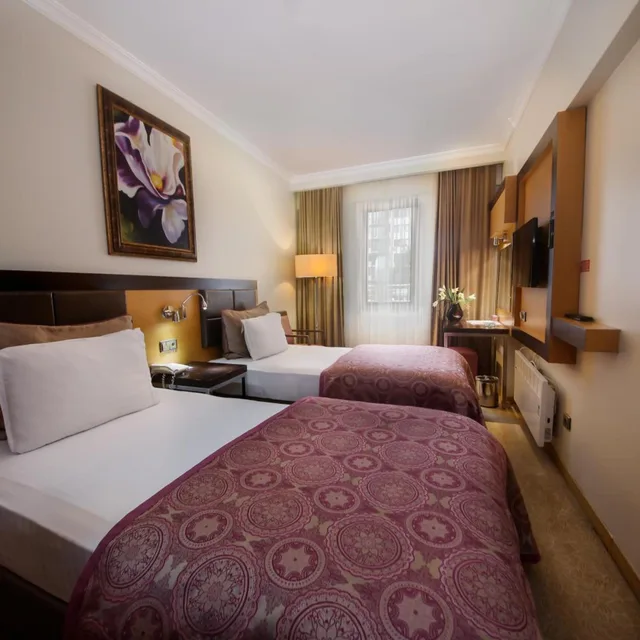 غرفة قياسية مفردة، Elit Asya Hotel 2/3