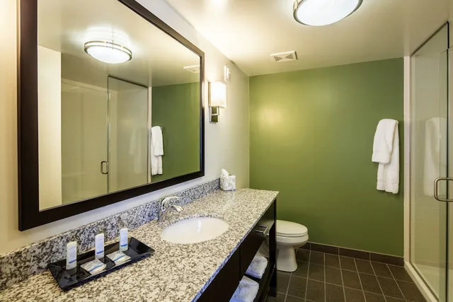 غرفة قياسية بسرير كينج، Sleep Inn & Suites Syracuse Airport 2/2