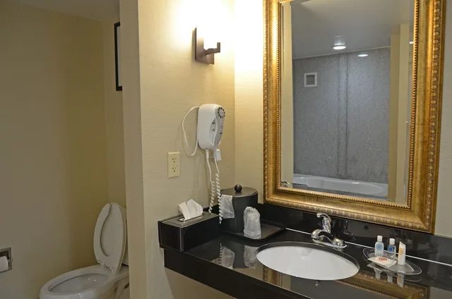 جناح مع أريكة، Comfort Suites Salem Roanoke I 81 7/9
