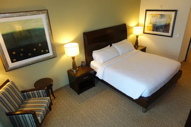 Evolution, King Bed، Hilton Garden Inn Houston/Pearland 2/6