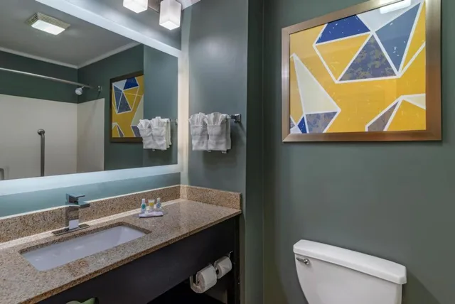 Suite, Queen Bed, Comfort Inn Suites At Stone Mountain 6/6