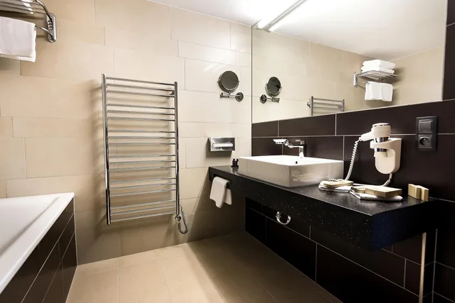 جناح تنفيذي بسرير كينج، Hotel International Brno 5/6