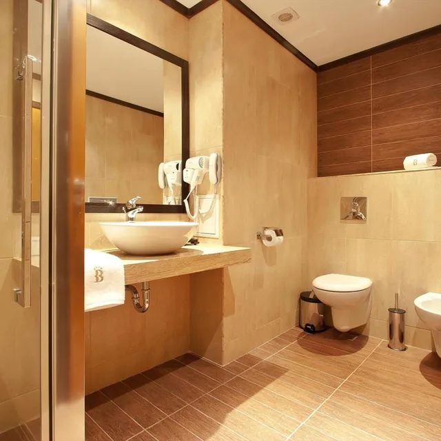 غرفة سوبيريور بسرير فردي، Best Western Plus Bristol Hotel 8/8