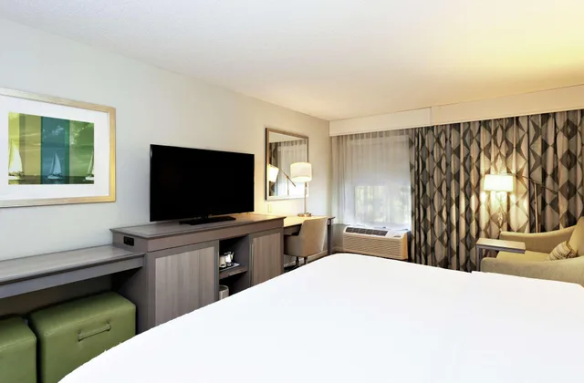 Studio, King Bed, Hampton Inn Melbourne 3/3
