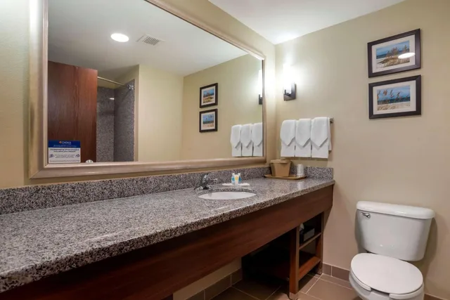 جناح بسرير كينج مع أريكة، Comfort Suites Foley - North Gulf Shores 8/9