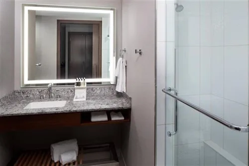 Luxury, Suite, Hilton Rochester Mayo Clinic Area 1/1