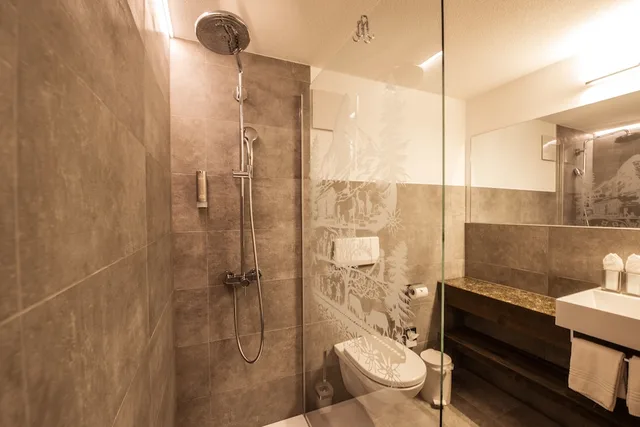 Swiss Style, Double Bed، Hotel Daniela 9/9