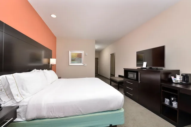 Standard, King Bed, Holiday Inn Express And Suites Austin South 1/8