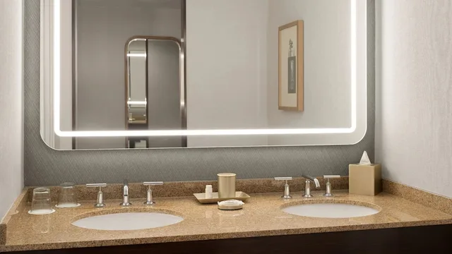 غرفة بسريرين كوين لذوي الإعاقة، Hyatt Lodge Oak Brook Chicago 5/7
