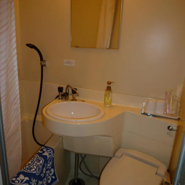 غرفة مفردة، Hotel Shiga Sunvalley 5/8