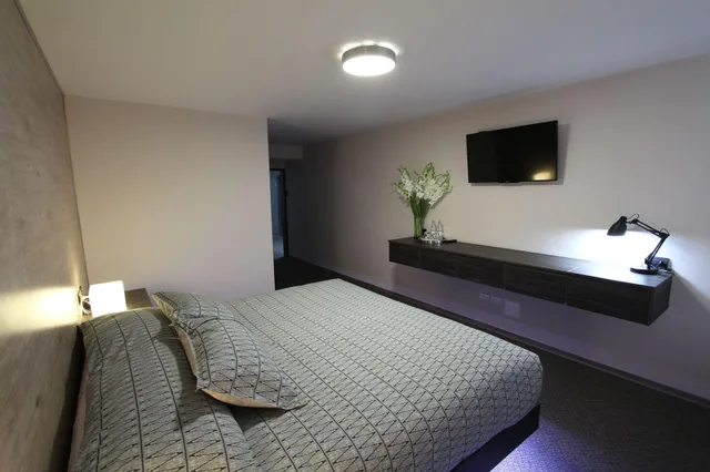 Room, King Bed, Hotel Viza 4/5