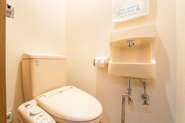 غرفة يابانية بفرشتي فوتون بحمام مشترك بأرضية تاتامي للمدخنين، Yanaginoyu Hotel 3/3