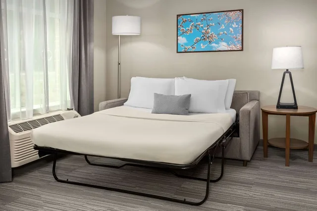 جناح بسريرين كوين بحوض استحمام لذوي الإعاقة، Homewood Suites by Hilton Greenville NC 1/4
