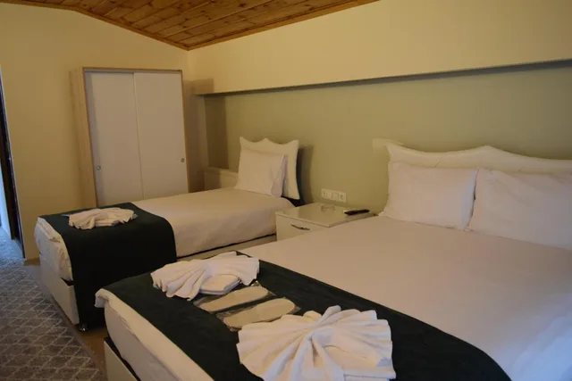بنغل عائلي، Mars Otel Artvin 4/6