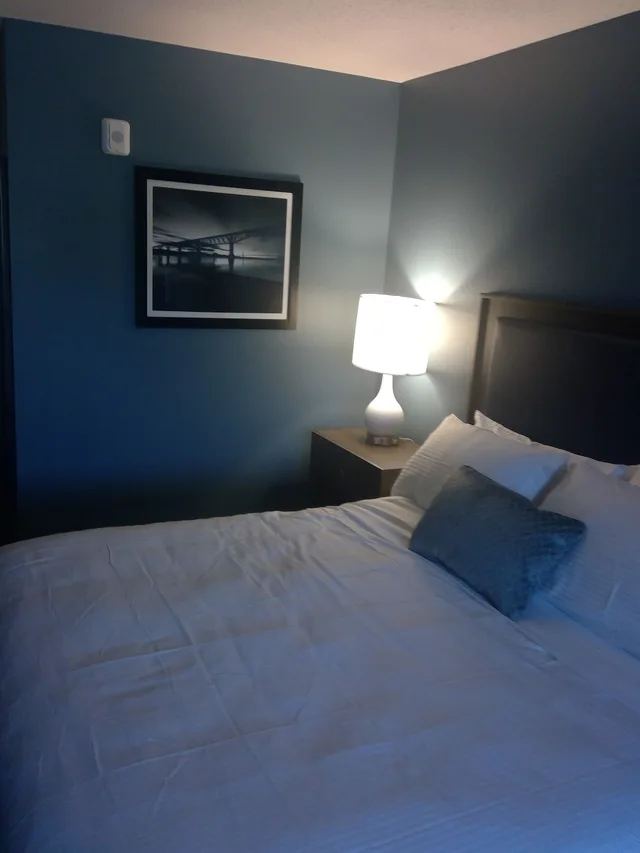 غرفة قياسية بسرير كينج لذوي الإعاقة، SureStay Plus Hotel by Best Western Highland Poughkeepsie 7/9