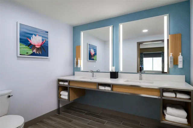 1 Bedroom, Suite, King Bed, Scenic View, Sofa، Hilton Garden Inn Millenia Near Universal Orlando Resort 5/6