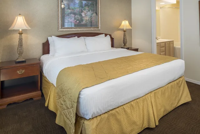 شقة سكنية بسرير كينج بغرفة نوم واحدة مع أريكة، The Suites At Fall Creek 1/3