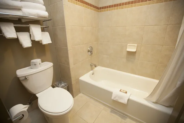 جناح فاخر بسرير كينج لذوي الإعاقة، Great Wolf Lodge Wisconsin Dells 7/8