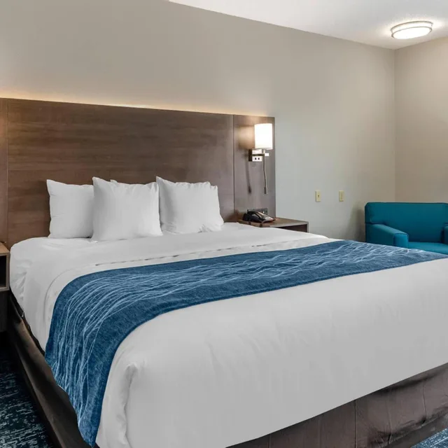 غرفة بسرير كينج يُسمح فيها بالحيوانات الأليفة، Comfort Inn & Suites Troutville-Roanoke North 3/9