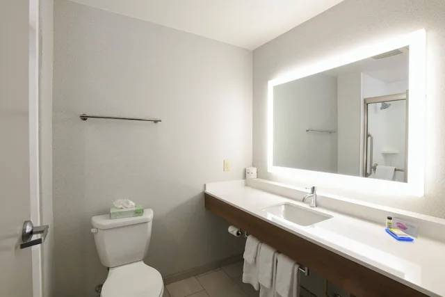 جناح بسرير كينج لذوي الإعاقة، Holiday Inn Express Hotel Suites Richwood Cincinnati South 4/4