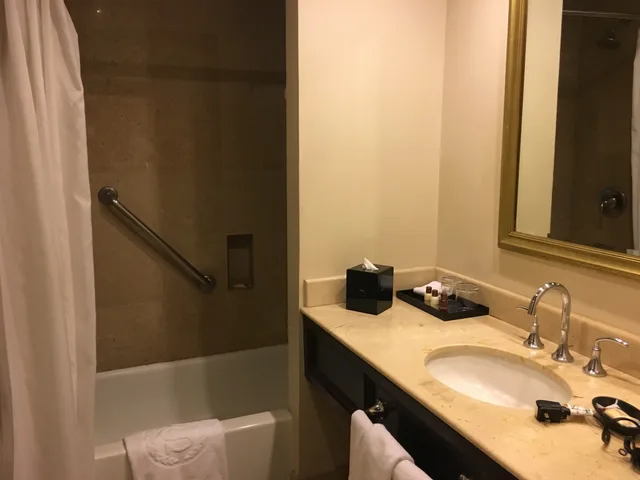 غرفة قياسية بسرير مزدوج، Wyndham Monterrey Ambassador Centro 1/3