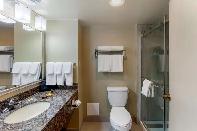 غرفة قياسية بسريرين مزدوجين، Best Western Plus Toronto Airport Hotel 6/7