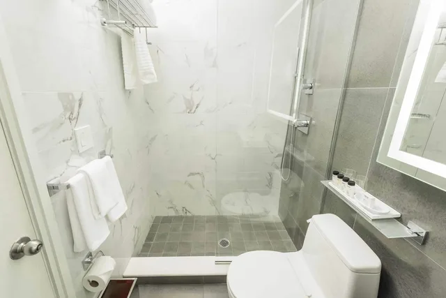 غرفة ديلوكس بسرير كينج، Moderne Hotel Nyc 3/3