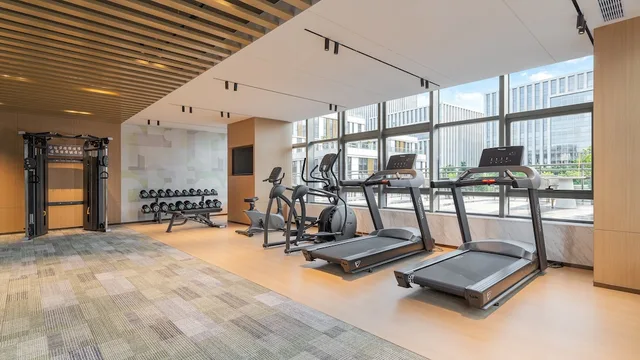 Holiday Inn Wuhu Jiangbei New Area by IHG، Wuhu 23/50
