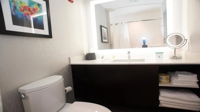 غرفة ديلوكس بسريرين منفصلين لذوي الإعاقة، Holiday Inn Hotel And Suites Joliet Southwest an IHG Hotel 1/1