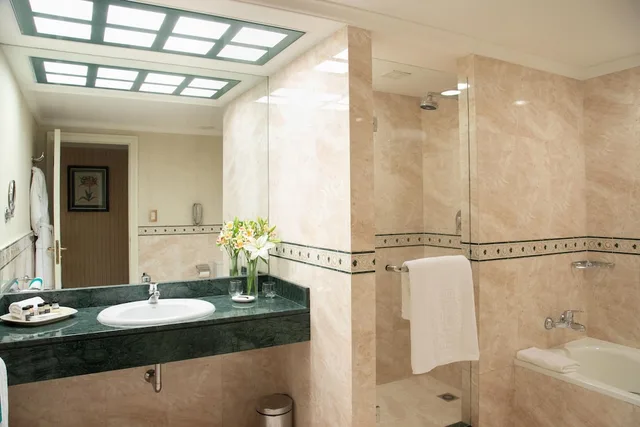 غرفة تنفيذية بسريرين منفصلين بإطلالة على المدينة، Hotel Emperador Buenos Aires 7/8