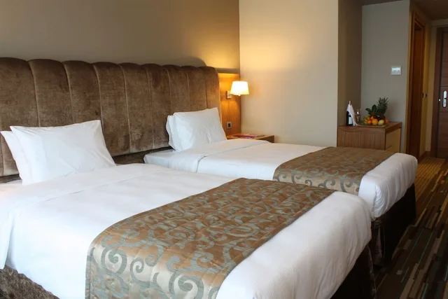 غرفة قياسية بسرير مزدوج، VOLLEY HOTEL ISTANBUL 4/7
