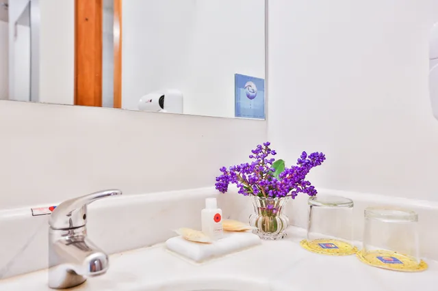 غرفة ديلوكس مفردة بسريرين منفصلين، Comfort Hotel Joinville 7/9