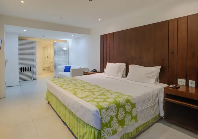 جناح تنفيذي، Rio Design Hotel 1/10