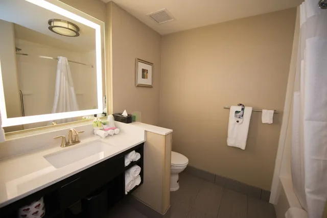 غرفة قياسية بسرير كينج، Holiday Inn Express & Suites Denver South - Castle Rock 7/7