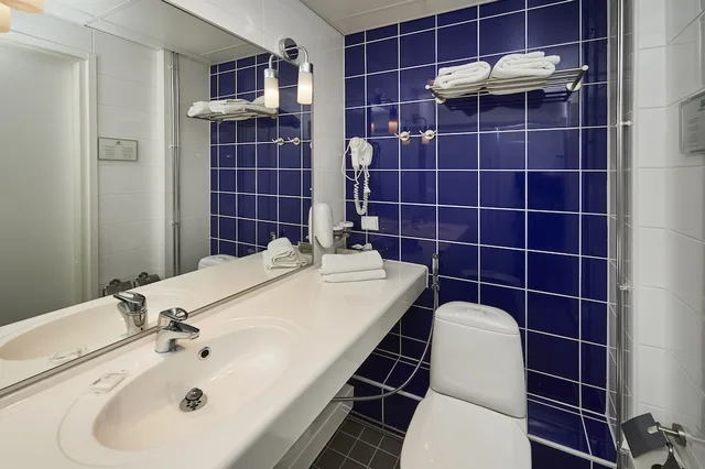 غرفة قياسية بسريرين منفصلين، Holiday Inn Tampere Central Station 5/6