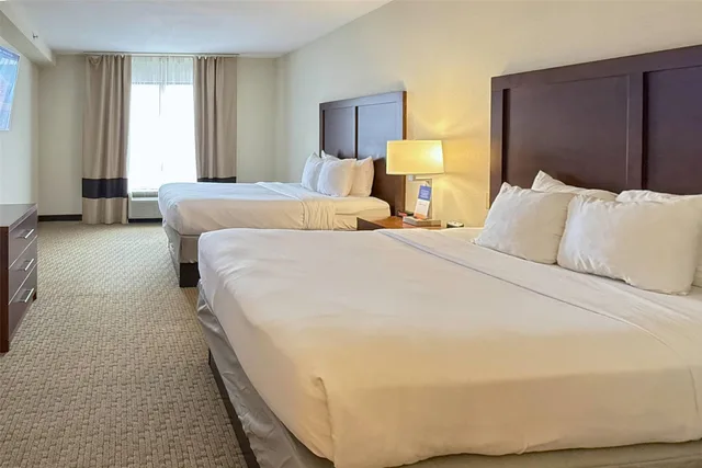 جناح بسريرين كوين لذوي الإعاقة، Comfort Inn & Suites Rogersville 1/5