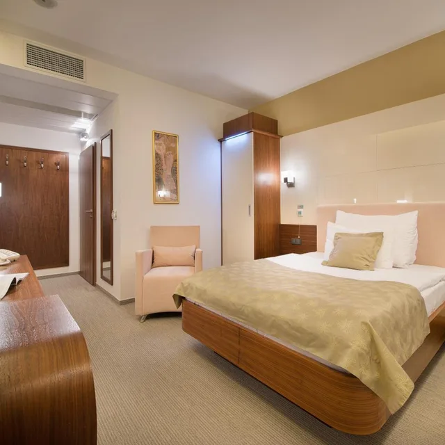 Superior, Single, Wellness Hotel Diamant (ex Relaxacni A Regeneracni Centrum) 2/7