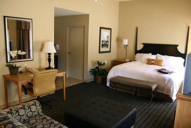 جناح استوديو بسرير كينج مع أريكة، Hampton Inn & Suites Mobile Providence Park/Airport 1/2