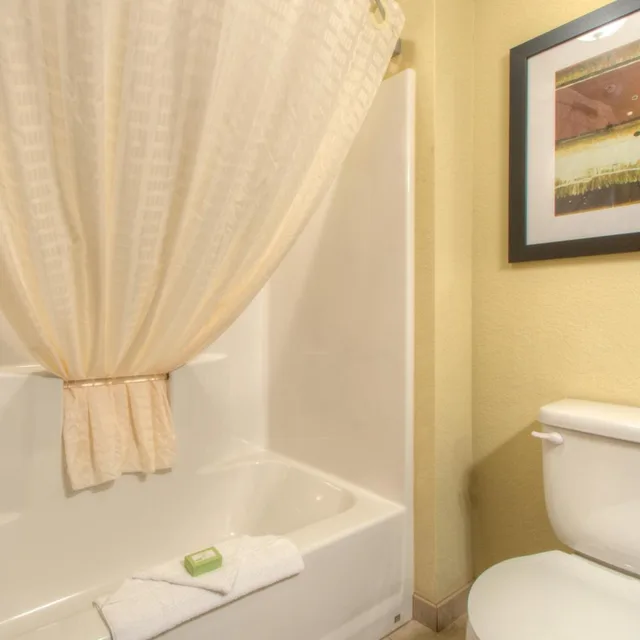 جناح بغرفة نوم واحدة، Cobblestone Hotel & Suites - Pulaski 6/9