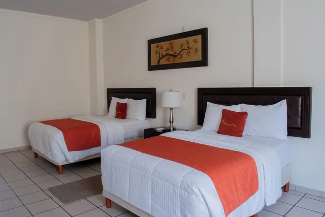 غرفة قياسية بسرير كينج بغرفة نوم واحدة، Hotel & Suites Aliana 3/7