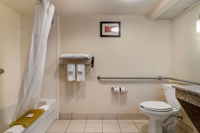 غرفة بسرير كينج لذوي الإعاقة، Comfort Inn & Suites Athens North GA 4/4
