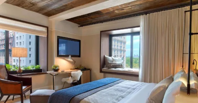 استوديو، 1 Hotel Central Park 1/2