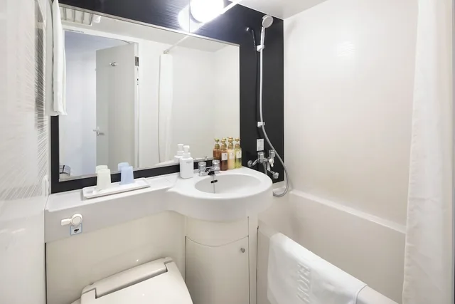 Semi Room, Standard, Semi Double Bed، Hotel Mystays Asakusabashi 5/11