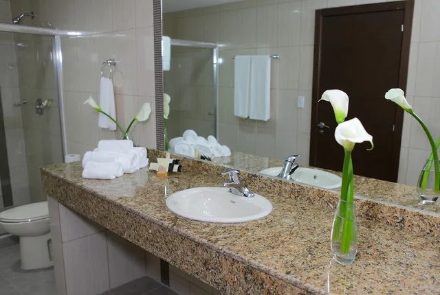 غرفة ديلوكس، Victoria Hotel and Suites Panama 3/4