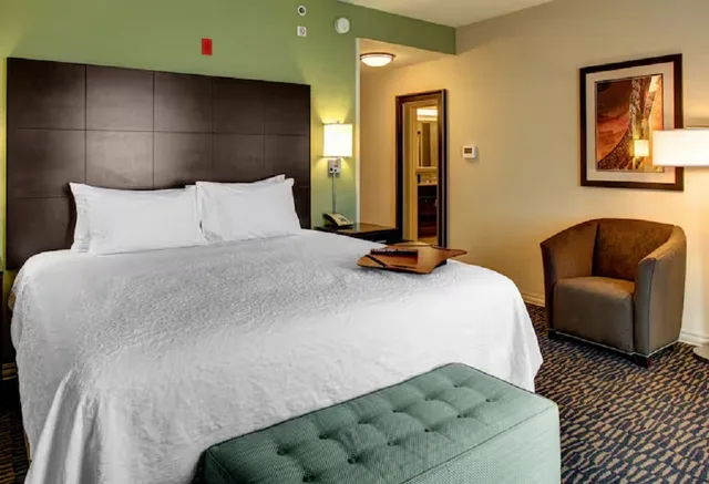 جناح استوديو بسرير كينج بشرفة بإطلالة لذوي الإعاقة، Hampton Inn And Suites Baton Rouge Downtown 1/1