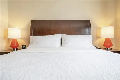 جناح جونيور بسرير كينج مع أريكة، Hilton Garden Inn Kalispell 1/1
