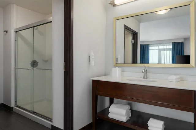 جناح استوديو بسرير كينج لذوي الإعاقة، Hampton Inn And Suites Roanoke-Downtown 6/10