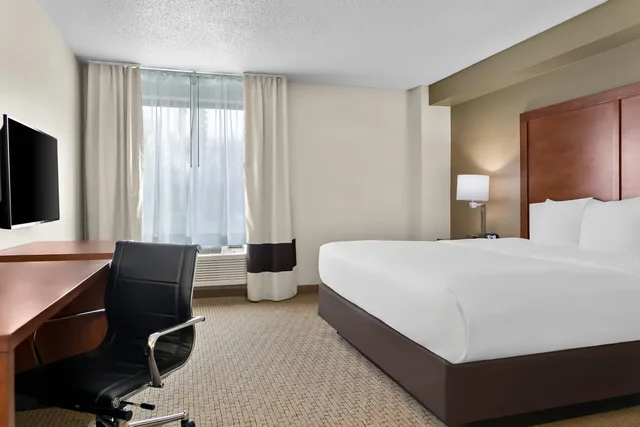 Room, King Bed, Comfort Inn & Suites Taylor - Detroit 5/10
